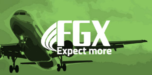 FGX - Custom Website Design