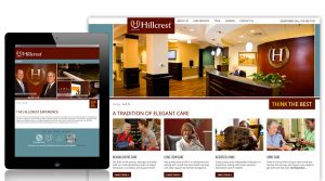 custom web development hillcrest liquisite