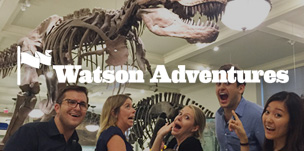 Watson Adventures - SEO, SEM, Custom Wordpress Development
